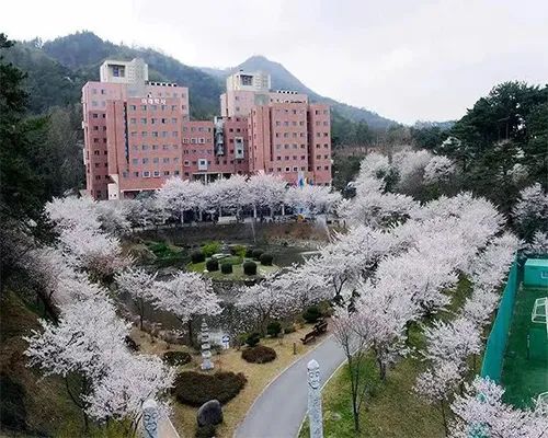 韩国留学 || 东新大学1年制中韩双语授课专升本招生简章(图10)